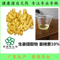 核桃榛子价格 型号 图片