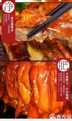 番禺区新鲜成品整只烧鸭广州发货