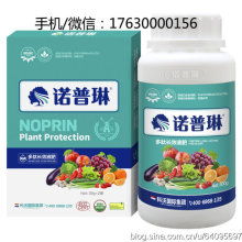 产品图675