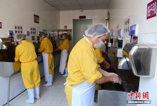 探访高铁盒饭生产工厂 组图
