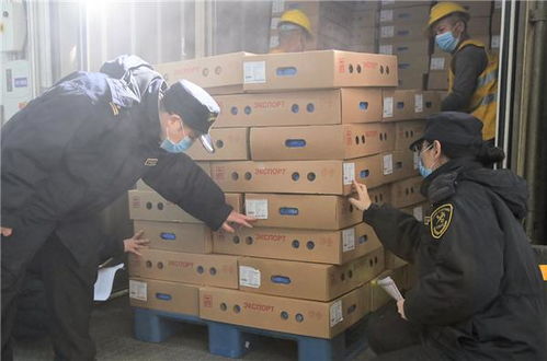 搭乘中欧班列 23吨白俄罗斯冻鸡翅抵蓉