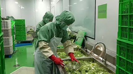 乡村振兴看聊城|预制菜构建新型餐饮供应链